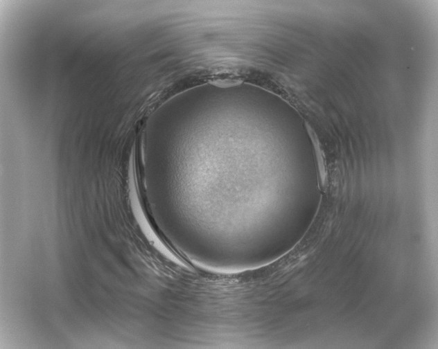 X0000066510916200603171148