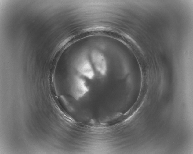 X0000066510921200603171148