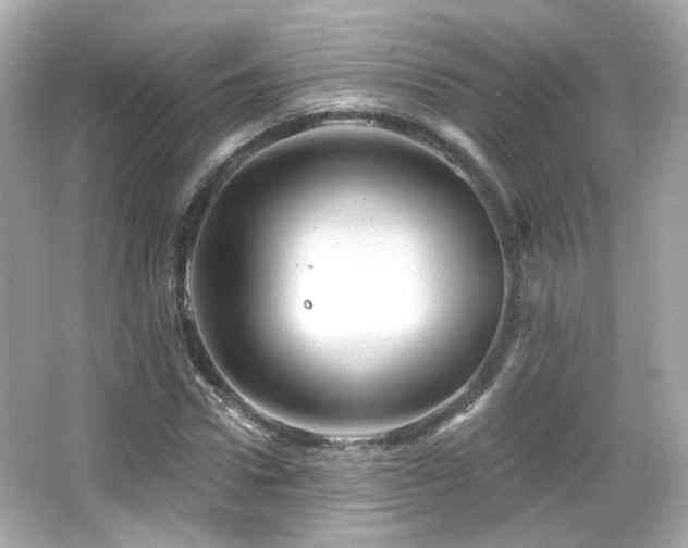X0000066510922200603171148