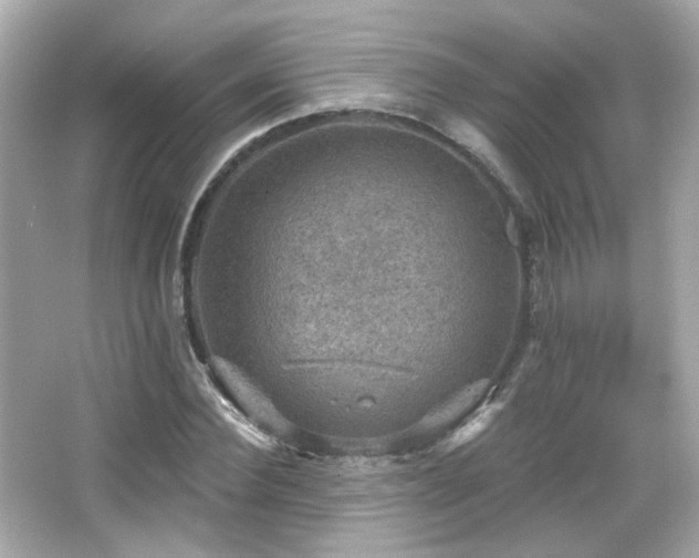 X0000066510924200603171148