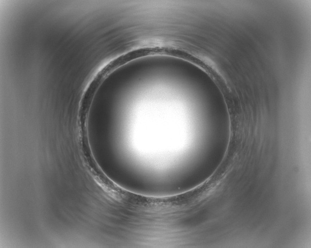 X0000066510927200603171148