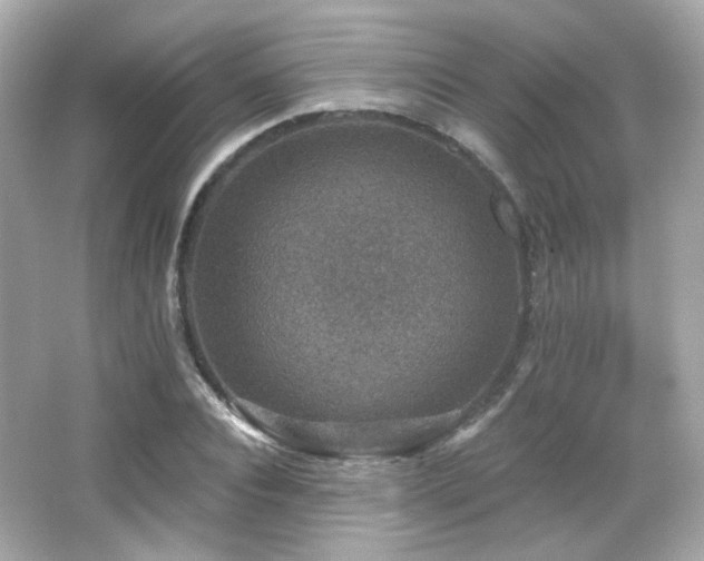 X0000066510928200603171148
