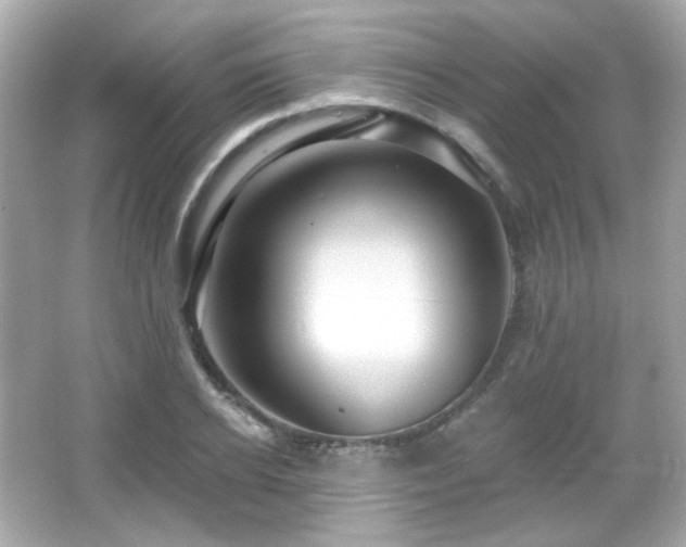 X0000066510934200603171148