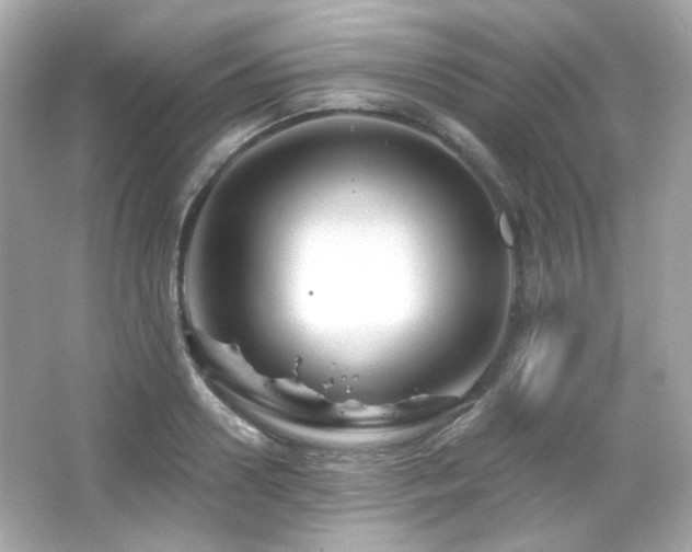 X0000066510938200603171148