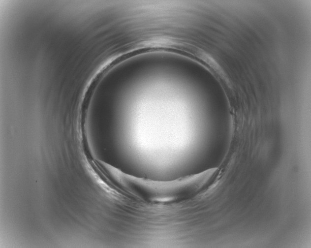 X0000066510939200603171148