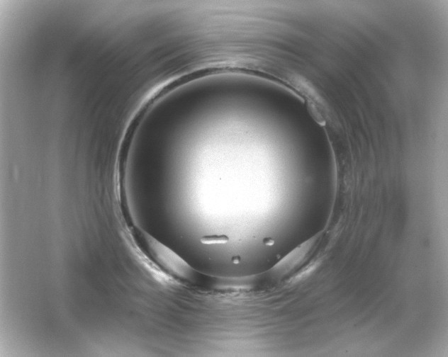 X0000066510940200603171148