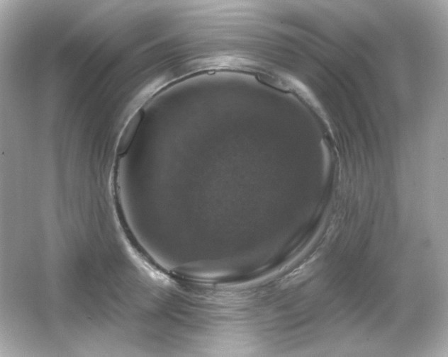 X0000066510946200603171148