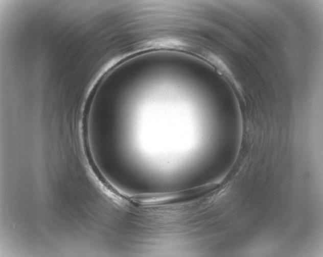 X0000066510947200603171148