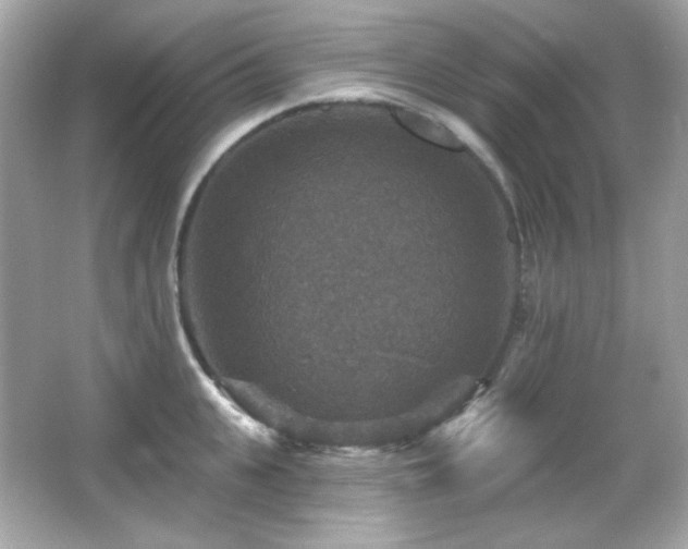 X0000066510951200603171148
