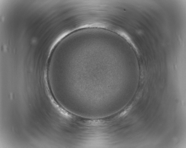 X0000066510952200603171148