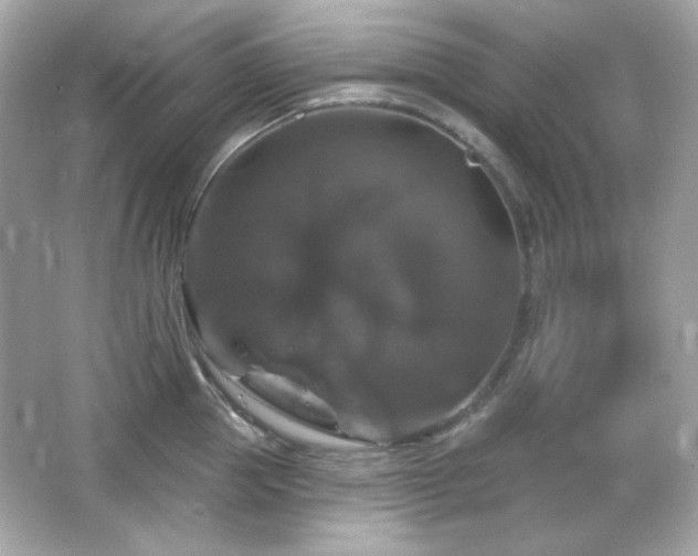 X0000066510953200603171148