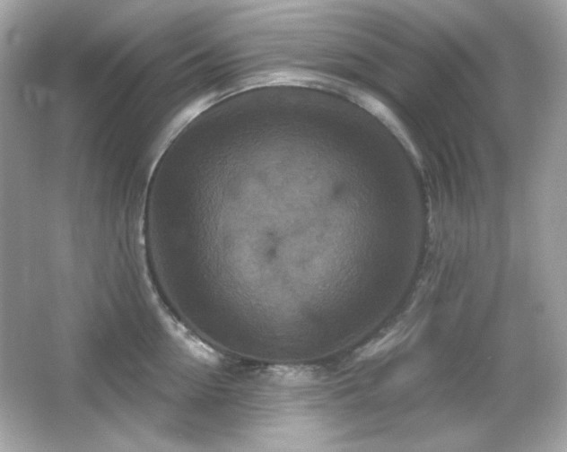 X0000066510954200603171148