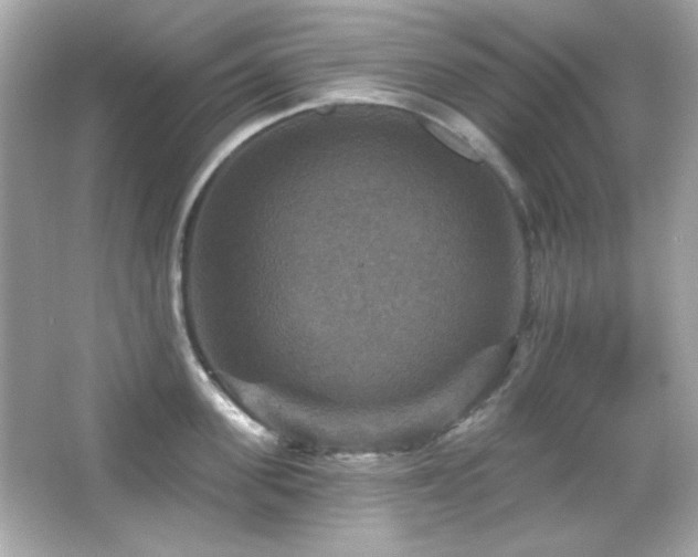 X0000066510955200603171148