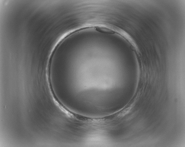 X0000066510958200603171148