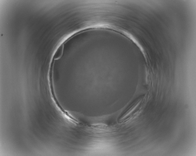 X0000066510959200603171148