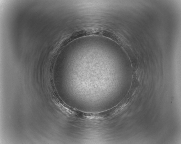 X0000066510961200603171148