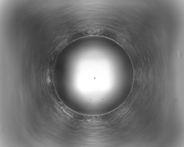 X0000066510962200603171148