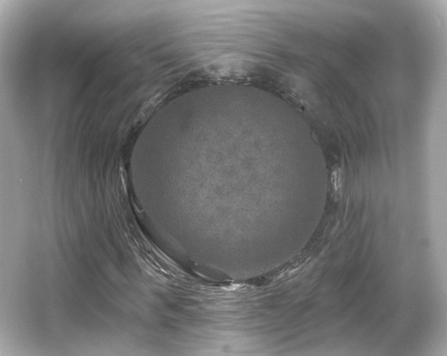 X0000066510963200603171148