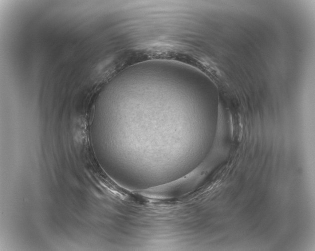 X0000066510964200603171148