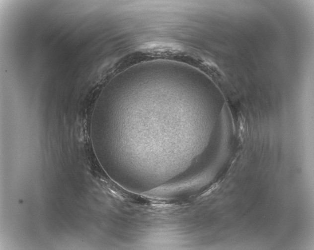 X0000066510965200603171148