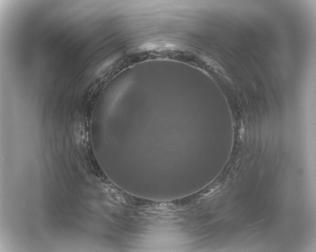 X0000066510966200603171148