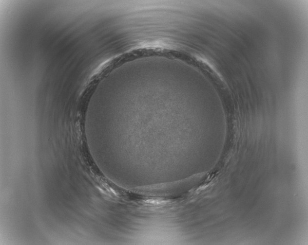 X0000066510968200603171147