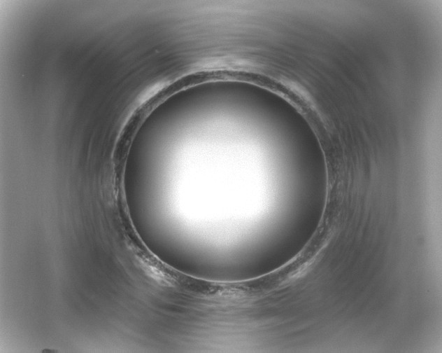 X0000066510974200603171147