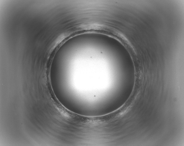 X0000066510978200603171147