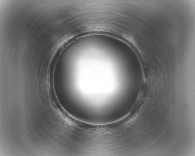 X0000066510979200603171147