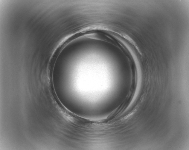 X0000066510981200603171147