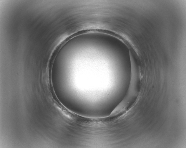 X0000066510982200603171147