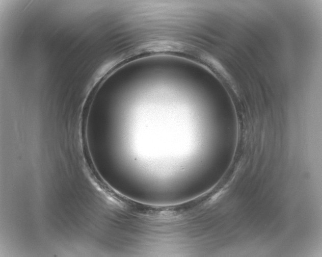 X0000066510986200603171147