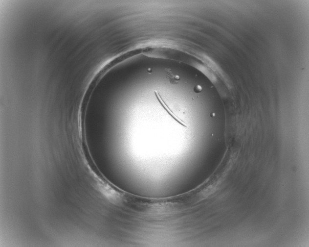 X0000066510988200603171147
