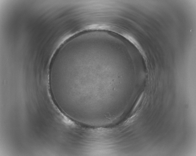 X0000066510992200603171147