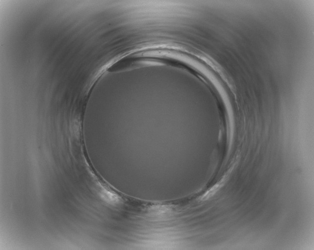 X0000066510993200603171147