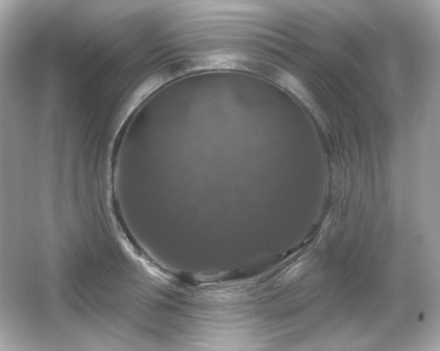 X0000066510994200603171147