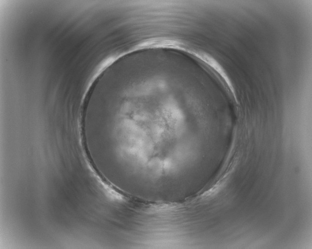 X0000066510997200603171147