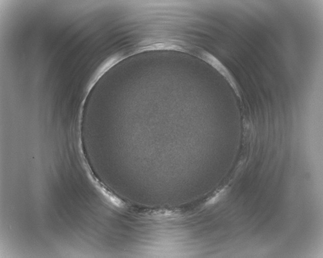 X0000066511002200603171147