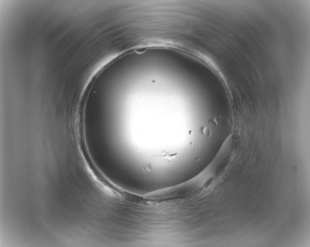 X0000066511003200603171147