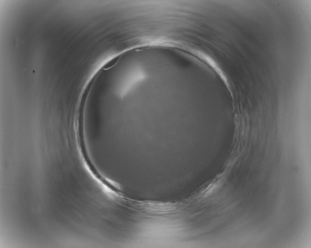 X0000066511007200603171147