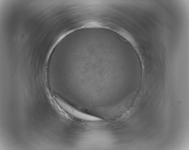 X0000066511008200603171147