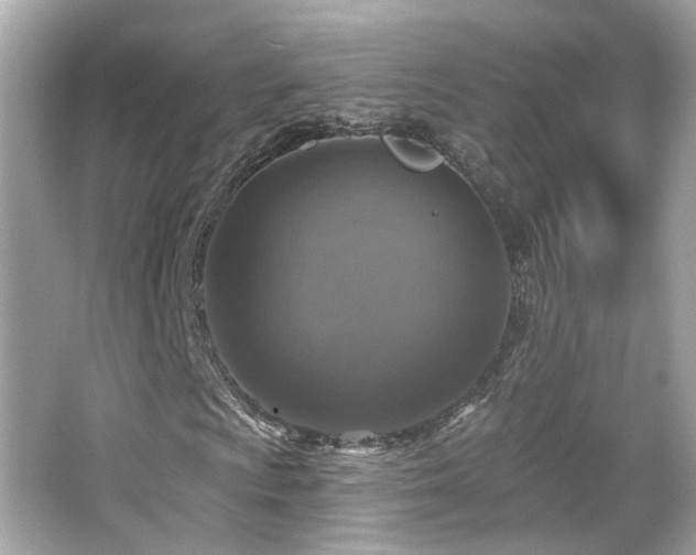 X0000066511009200603171146