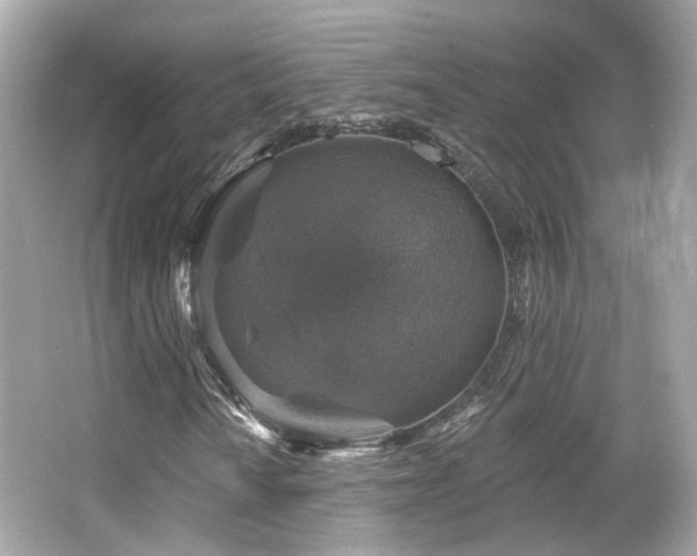 X0000066511010200603171146
