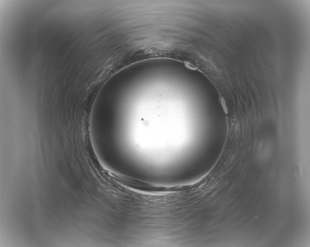 X0000066511012200603171146