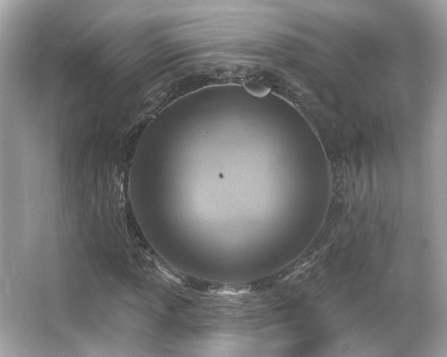 X0000066511013200603171146