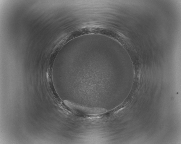 X0000066511014200603171146