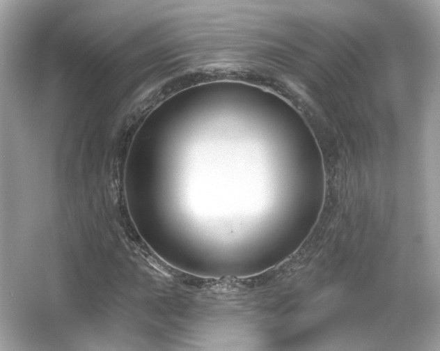 X0000066511015200603171146