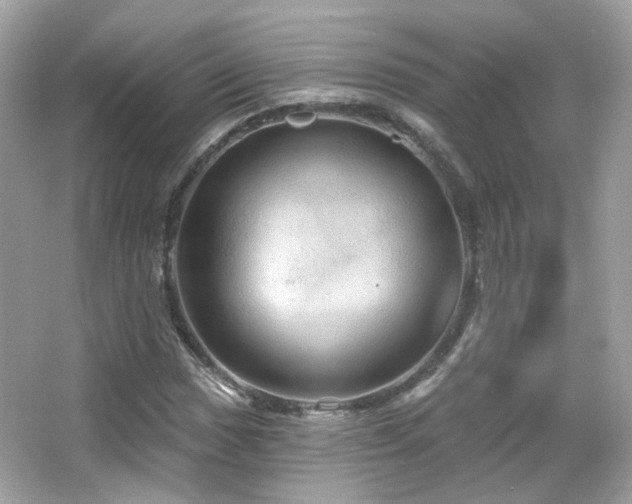 X0000066511017200603171146