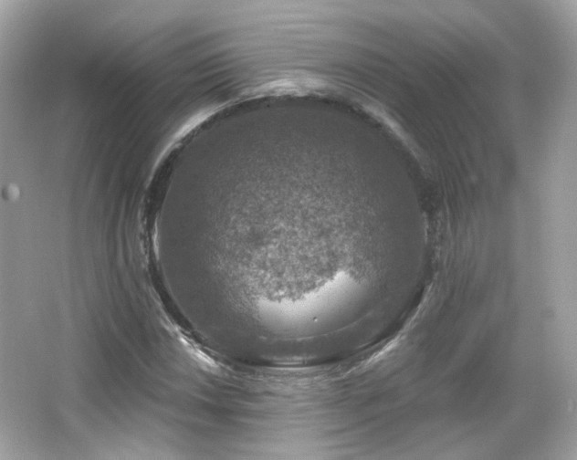 X0000066511018200603171146
