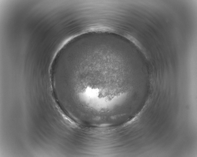 X0000066511022200603171146